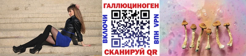Галлюциногенные грибы Psilocybe  Россошь 