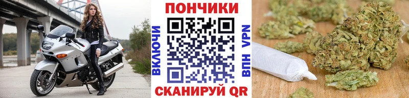 Бошки Шишки Amnesia Россошь